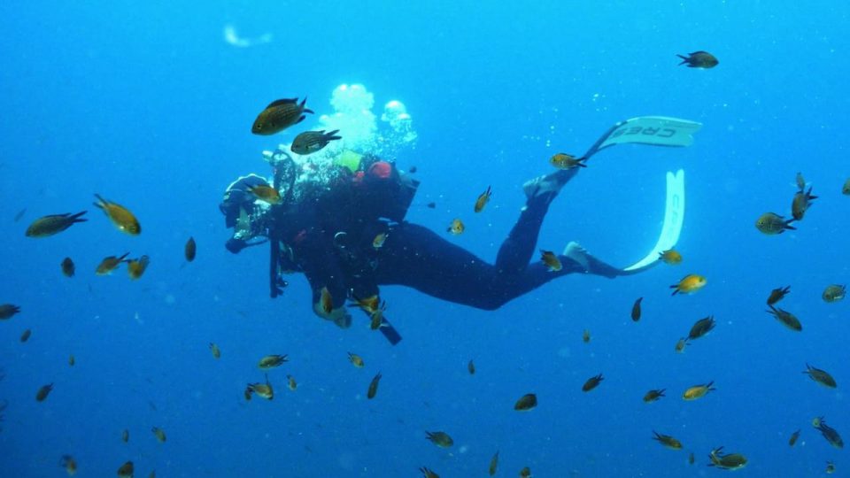 Altın Palet Sualtı Görüntüleme Türkiye Şampiyonası devam ediyor